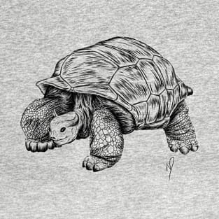 Bull tortoise T-Shirt